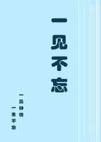 一见不忘