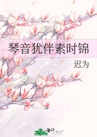 琴音犹伴素时锦